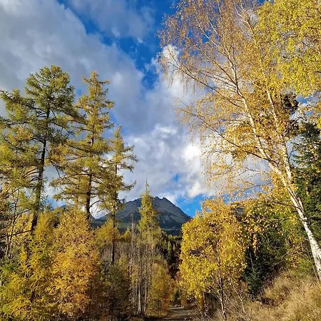 Miesto Pod Vas Stan *